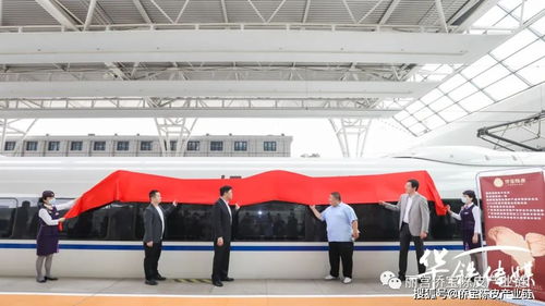 啟程 僑寶陳皮 冠名列車首發,品牌戰略再上新高度