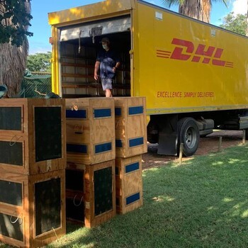 無錫DHL國際快遞,無錫DHL國際快遞上門取件