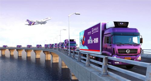 跨越生鮮全程溫控,讓陽(yáng)山水蜜桃新鮮到家