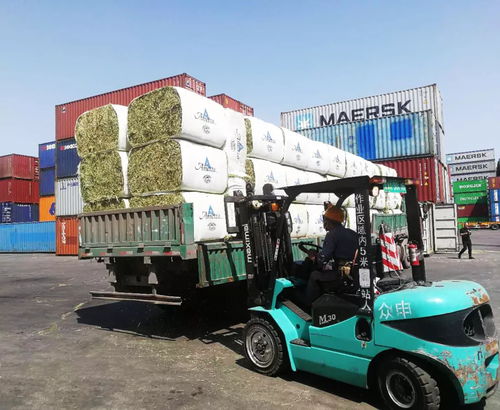 積極應對市場變化 洛娃進出口公司優(yōu)化國際市場布局