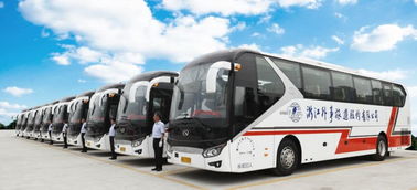 浙江外事旅游 大道無外,事行天下